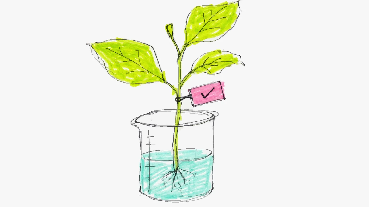 A leafy plant growing out of a laboratory beaker with a checkmark tag on its stem.